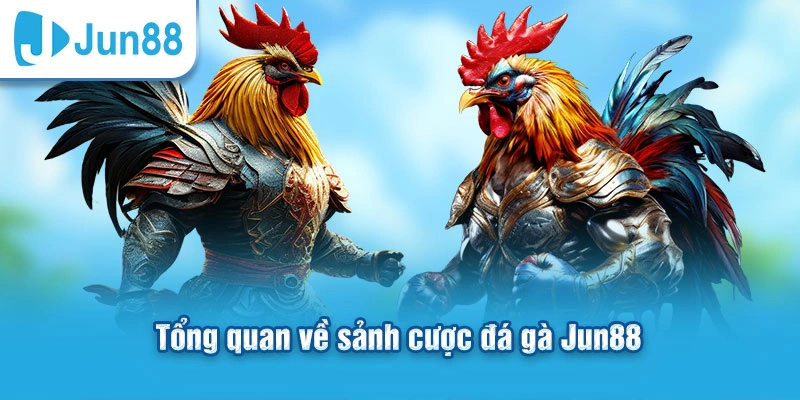 Đá Gà Jun88 - Chiến Thuật Chơi Dễ Thắng Cho Người Mới