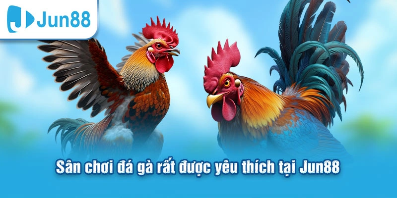 Đá Gà Jun88 - Chiến Thuật Chơi Dễ Thắng Cho Người Mới