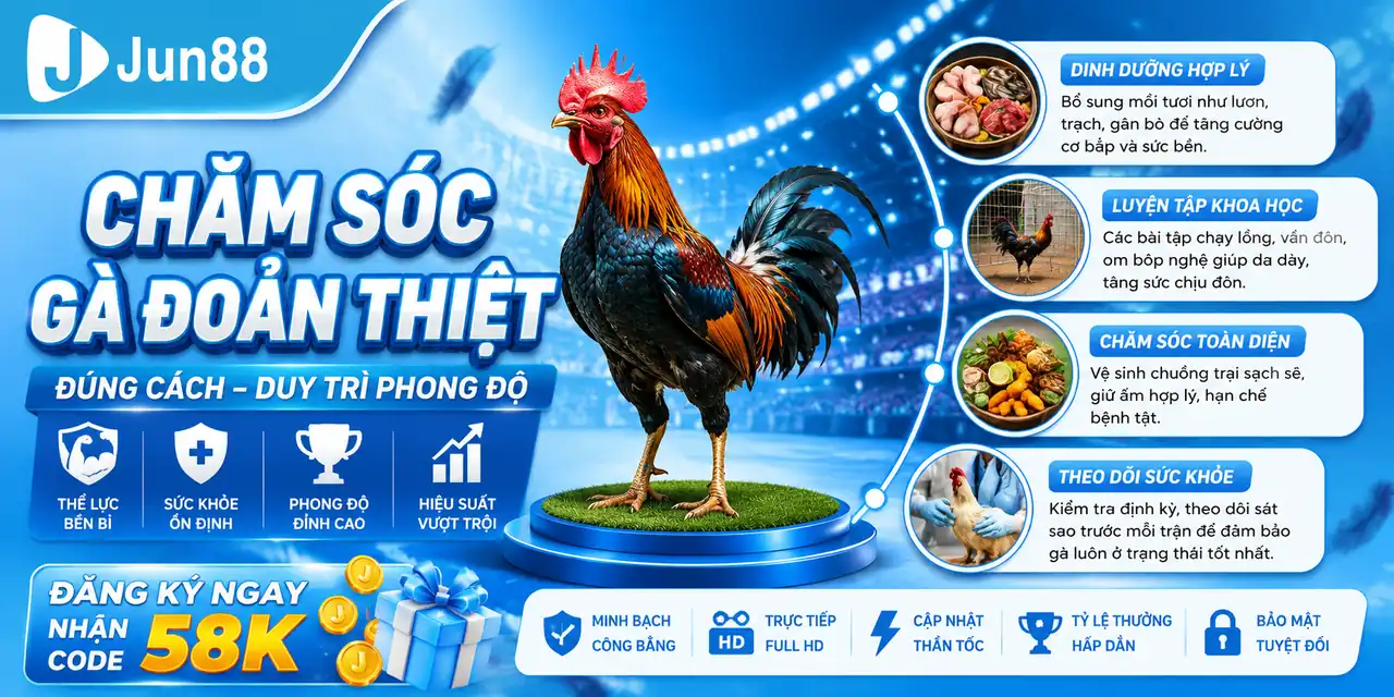 Gà Đoản Thiệt 🥇 Bí Mật Linh Kê Bách Chiến Đỉnh Cao Jun88