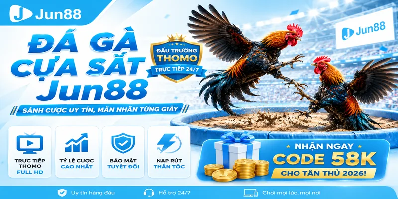 Đá Gà Jun88 - Chiến Thuật Chơi Dễ Thắng Cho Người Mới