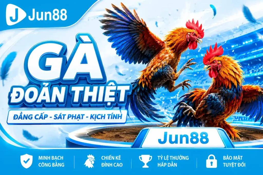 Đá Gà Jun88 - Chiến Thuật Chơi Dễ Thắng Cho Người Mới