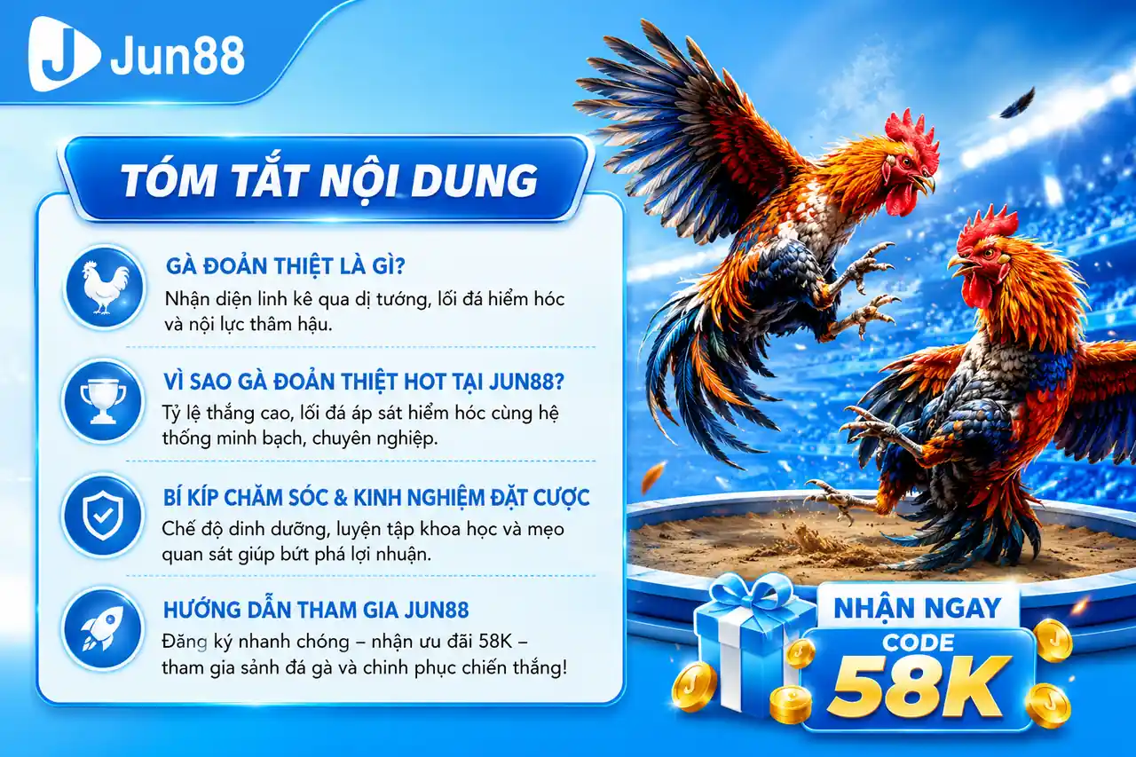 Gà Đoản Thiệt 🥇 Bí Mật Linh Kê Bách Chiến Đỉnh Cao Jun88