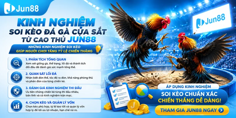 Đá Gà Cựa Sắt Jun88 🥇 Đấu Trường Thomo Trực Tiếp 2026