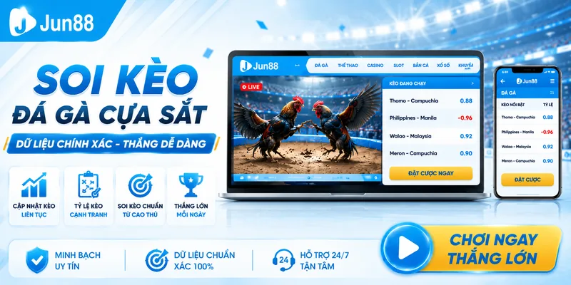 Đá Gà Cựa Sắt Jun88 🥇 Đấu Trường Thomo Trực Tiếp 2026